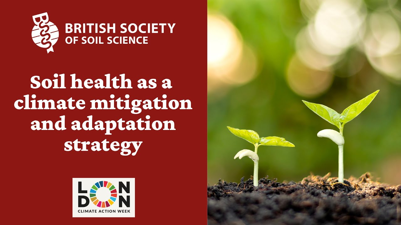 Soil health as a climate mitigation and adaptation strategy (London Climate Action Week)