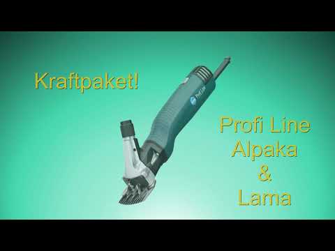 Alpaka Schur mit Lister Schermaschine