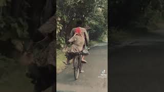 Download lagu Story WA - Surat Cinta Untuk Starla - Virgoun mp3