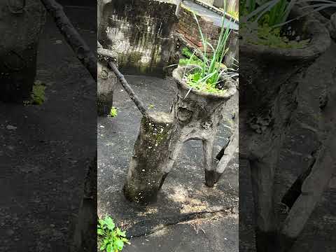 Cementerio progreso Santa Fe 🪦⭐️si alguien alcanza a leer lo que dice  comente ✝️