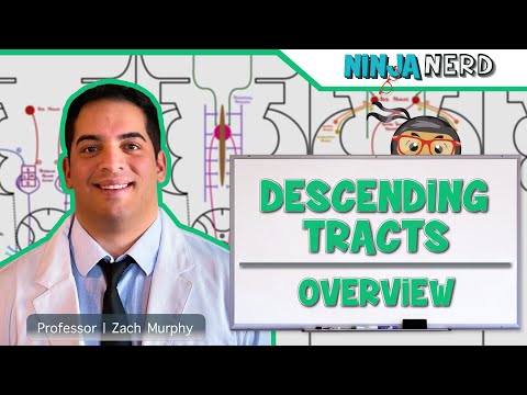 Neurology | Descending Tracts: Overview