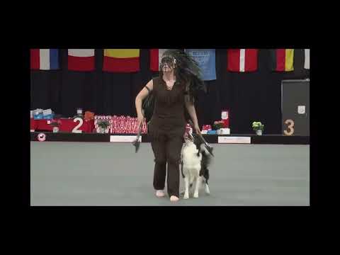 World Championship 2023 HTM, the final