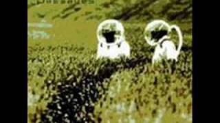 Midi Miliz - Phenomena