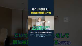 肩こりの真犯人！ 実は腕の筋肉だった