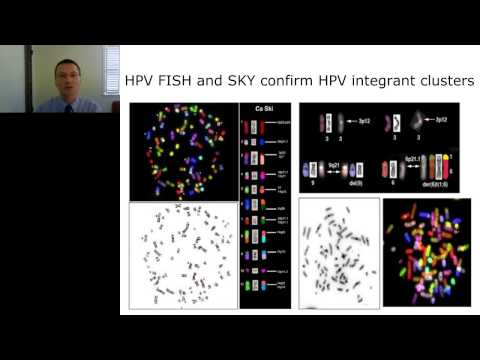 Human papillomavirus and herpes simplex virus