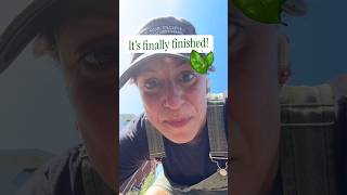 So excited to finally put out my #freelittlegreenhouse 🌱🌎🙌💕#giveplants #propagate #propagateplants