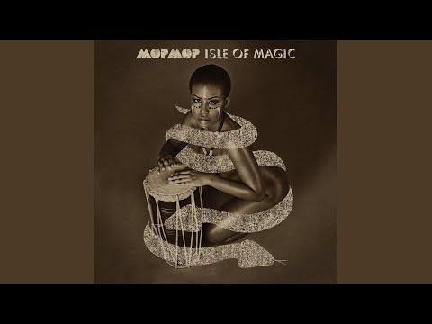 Phantom Of The Panther