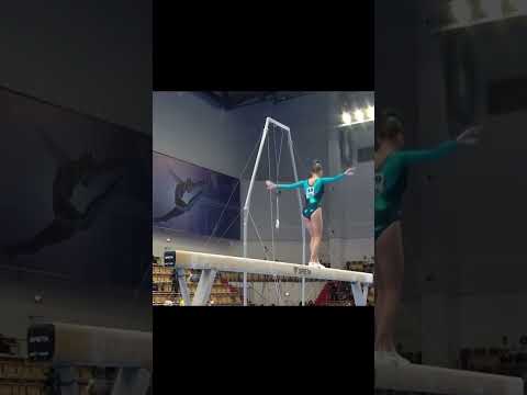 6 октября 2023 г.