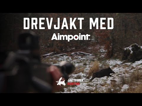 Drevjakt I Skåne tillsammans med Aimpoint (Följ med Jaktfeber på viltrika marker)