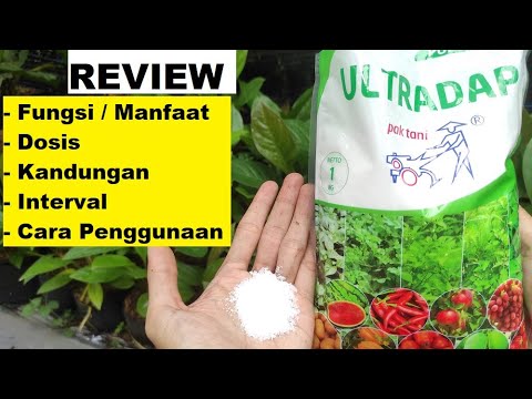 Pak Tani Ultradap Fertilizer Review - Functions/Benefits, Dosage, Content, How to Use Ultradap Fe...