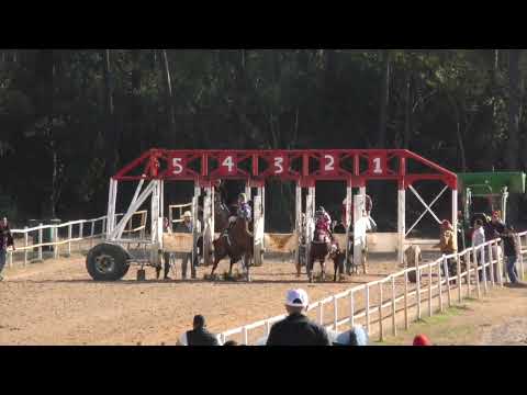 HERRERA'S TRAINING CENTER   EL WHISKEY VS  EL CACHICHURRIS 250YDS