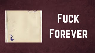 Babyshambles - Fuck Forever (Lyrics)