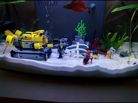 Betta fish tank with Lego set decorations