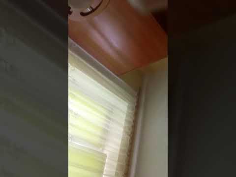 Chris Wright nowy nabytek polskiego cukru Toruń