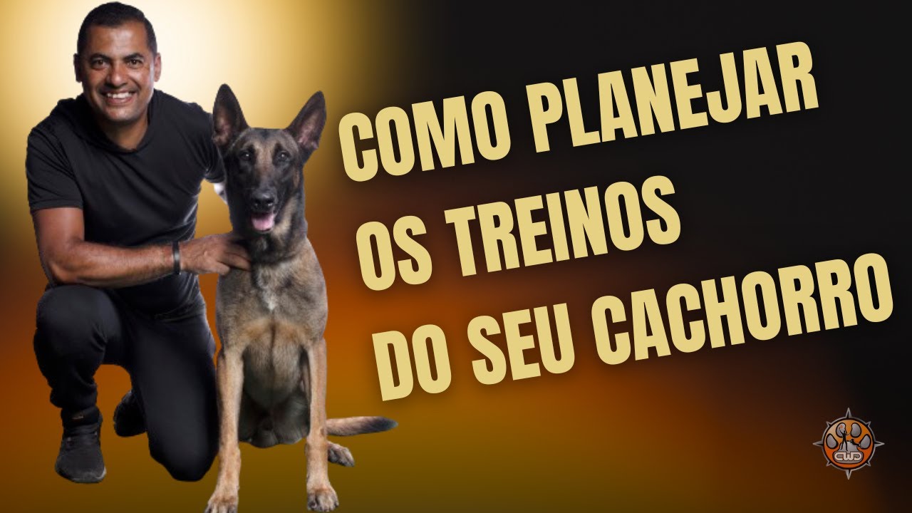 COMO PLANEJAR OS TREINOS E TER SEU CÃO OBEDIENTE POR TODA A VIDA AO SEU LADO