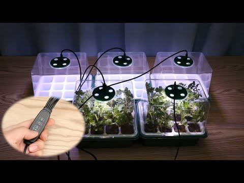 Мини парник для рассады с регулировкой влажности 5 шт по 12 отсеков Мини тепличка для рассады - фото 1 - id-p2354472909