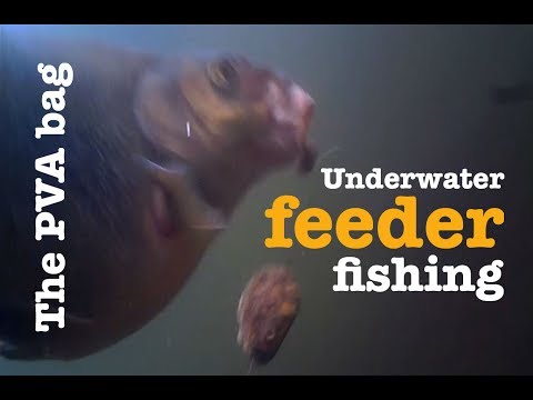 Bream fishing with a PVA bag - Underwater feeder fishing - Breamtime S3 E8