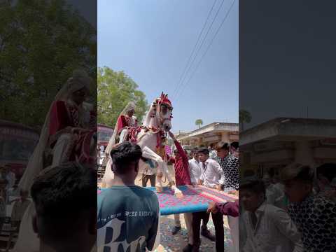 👑KISMAT👑 Horse Dance🐴 #godi #horsetrancedance #horselove #horsefan #kismat3341 #3341