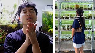 this Local Fish Store will SHOCK you | Fish Tank Review 373