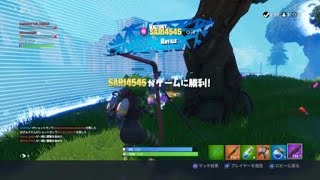 Fortnite SARI4 5 4 5視点