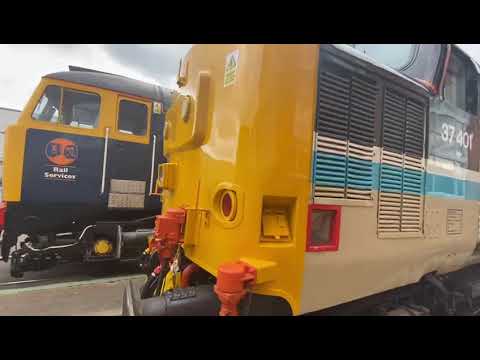 Greatest Gathering (19) - 37401 MARY QUEEN OF SCOTS looking lovely in her new ScotRail livery. 