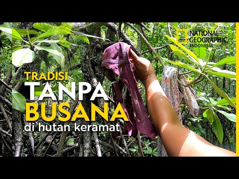Hutan Perempuan Nasibmu Kini