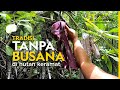 Hutan Perempuan Nasibmu Kini