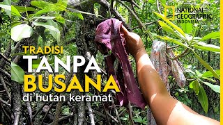 Download lagu Hutan Perempuan Nasibmu Kini mp3 Download lagu Hutan Perempuan Nasibmu Kini mp3