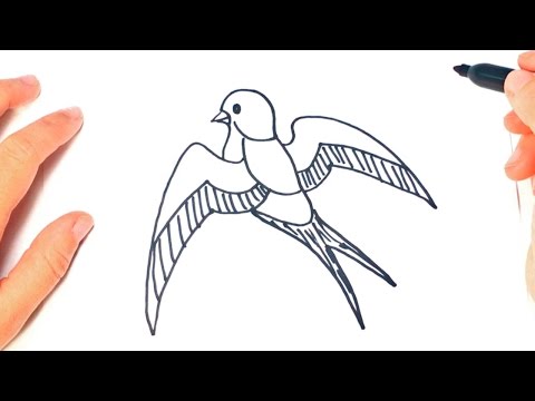 download lagu mp3 mp4 How To Draw A Swallow Step By Step, download lagu How To Draw A Swallow Step By Step gratis, unduh video klip How To Draw A Swallow Step By Step