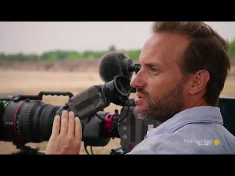 Big Cat Country The Next Dynasty Ep6