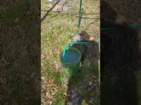 GETTING THE WELL TO PUMP WATER.