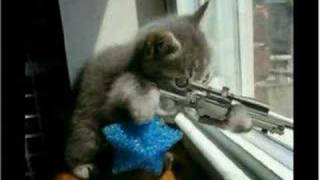 &quot;Ebay&quot; by Weird Al Yankovic