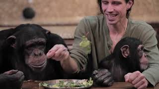 The NEW Chimp Dinner LIVE! 04.24.22