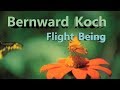 Bernward Koch × Flight Being