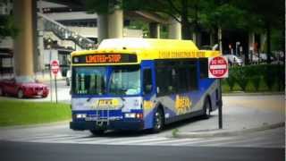 preview picture of video 'WMATA (Metrobus): 2006 Daimler Orion VII [07.501] OG (CNG) #2682 on Route REX'