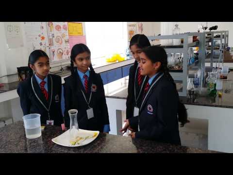 Geetanjali Olympiad School