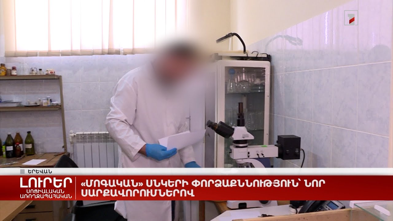 «Մոգական» սնկերի փորձաքննություն՝ նոր սարքավորումներով