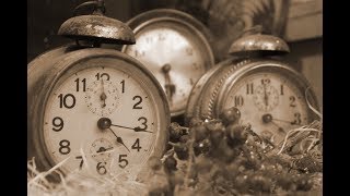 L'UNIVERS DE BRESLEV