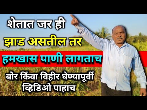 ह्या झाडाखाली 100% पाण्याचा झरा असतो | जमिनीतील पाणी कसे शोधावे | पानाडी | panadi