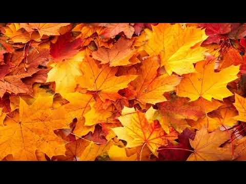 03 Am fost jos in vale cu Domnul # Familia Mandici # Semnale