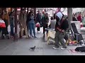 Pigeon On The Street Jamming And Dancing Along To Busker Playing Robin Thicke S Blurred Lines