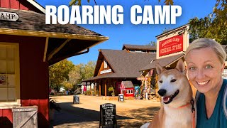 Roaring Camp Railroads: Steam Train Ride Through the California Redwoods