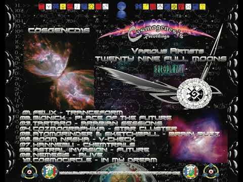 10 Cosmo - Circle in my Dream