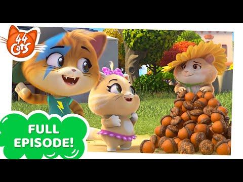 44 Cats | FULL EPISODE | The Dance Contest | Season 1