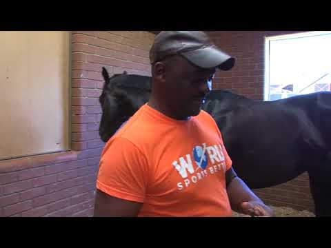 HAT PUNTANO HIS PROBLEMS MAY HAVE BEEN RESOLVED