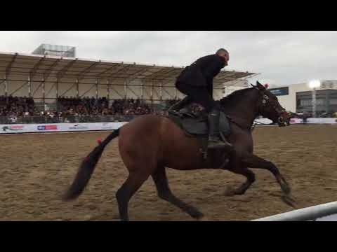 Francesco Di Martino vincitore del 2°posto a "Talenti & Cavalli" Fiera Cavalli Verona 2018