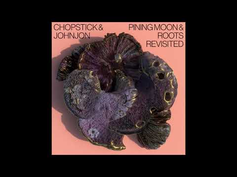 Chopstick & Johnjon - Roots (Acoustic Version)
