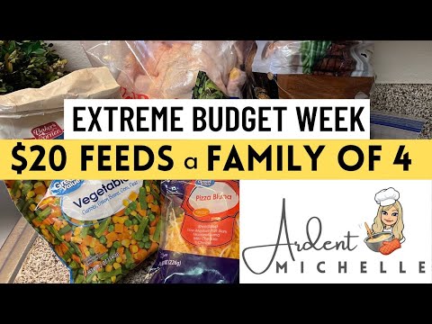 7 MEALS for $20 | FEED A FAMILY OF 4