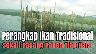 Download lagu Review Perangkap Ikan Tradisional || Sekali Pasang Tiap Hari Panen mp3 Download lagu Review Perangkap Ikan Tradisional || Sekali Pasang Tiap Hari Panen mp3