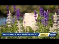 South Florida Residents Prepare Plants For Coldest Temperatures Since 2010